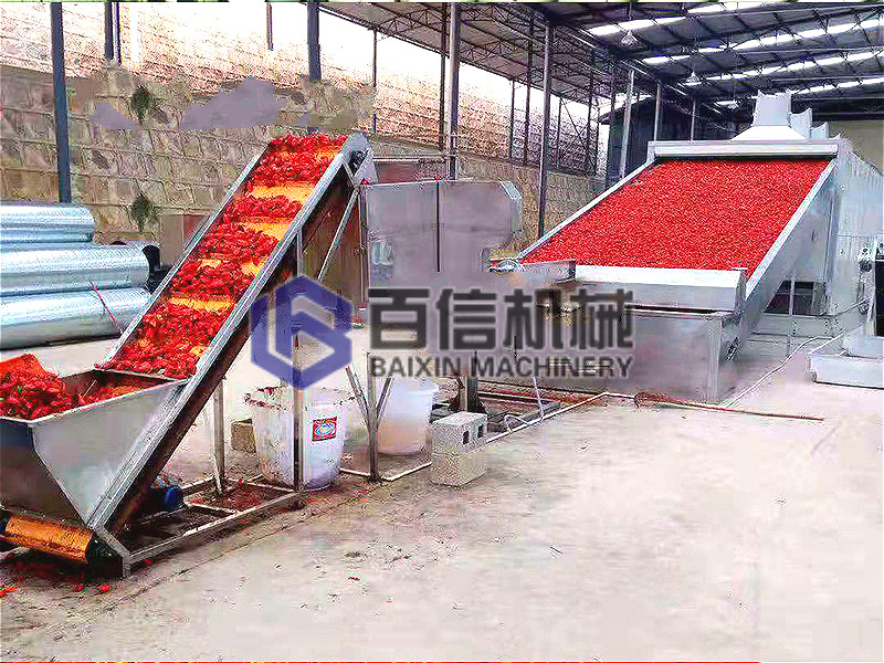 大型辣椒烘干機