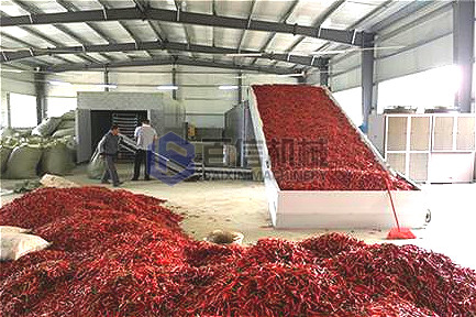 茶樹菇辣椒烘干生產線在四川：凝心聚力，再創新高！